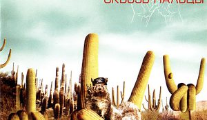 Настя – Сквозь Пальцы