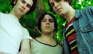 The Cribs не любят Lady Gaga