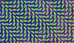 Animal Collective — Merriweather Post Pavilion