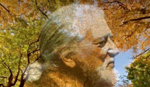 Jon Lord — To Notice Such Things