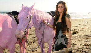 Пинк «наехала» на новый клип Селены Гомес и её розовых лошадей