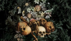 Mujuice – Downshifting