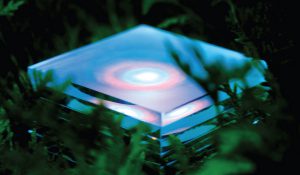 MGMT стали участниками проекта «Late Night Tales» и выпустили новый кавер