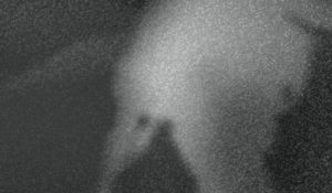 Кейт Буш представила новую песню “Wild Man”