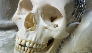 Сейчас The Flaming Lips транслируют 24-часовую песню онлайн