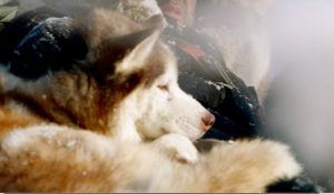 Dazzle Dreams побродили по снежному лесу в клипе “Diva Maria”