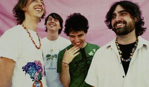 Animal Collective раскрыли детали нового альбома