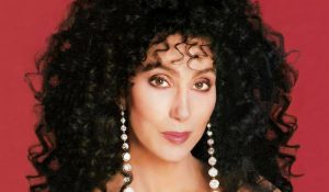 Пинк сочинила две песни для нового альбома Шер