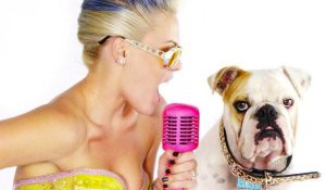 Новый сингл Пинк появился в сети