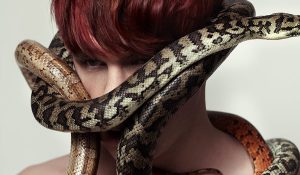 Патрик Вульф поделился деталями двойного альбома