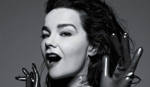 Видео: Bjork – Stonemilker