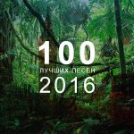 100 лучших песен 2016 года: Топ 10