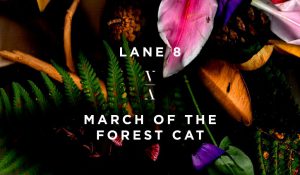Lane 8 – March of the Forest Cat