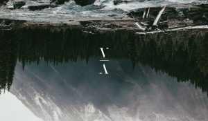 Lane 8 – No Captain (feat. POLIÇA) – Single