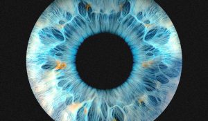 Wilkinson & Dimension – Rush – Single