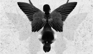 Jussie Smollett – Freedom – Single